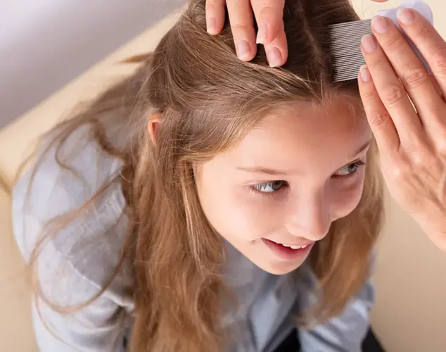Head Start Comb out.webp